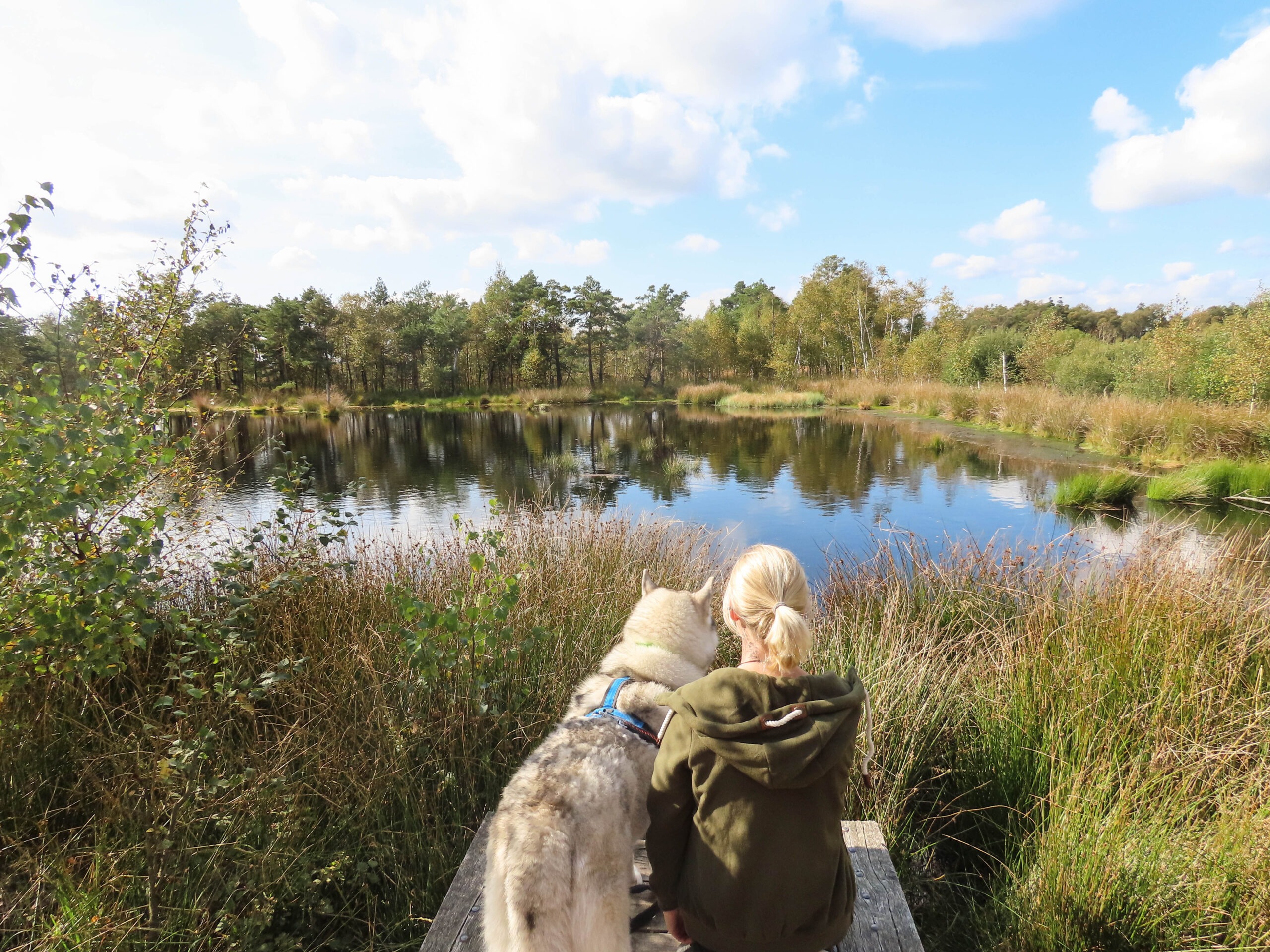 Hundetrainerin Lena Hensen